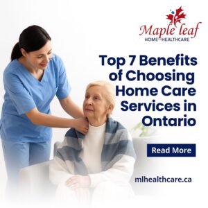 WhatsApp Image 2025 12 04 at 17.57.44 961fd4d3